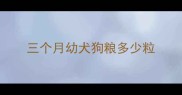 三个月幼犬狗粮多少粒