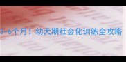 德牧训练黄金期3-6个月幼犬期社会化训练全攻略附训练计划表
