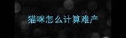 猫咪怎么计算难产