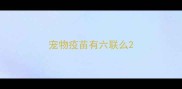 宠物疫苗有六联么