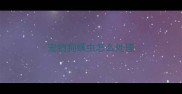 宠物狗螨虫怎么处理