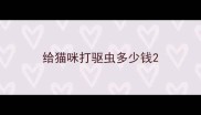 给猫咪打驱虫多少钱
