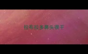 拉布拉多鼻头很干