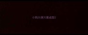 小狗大便只要成型