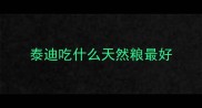 泰迪吃什么天然粮最好