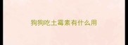 狗狗吃土霉素有什么用