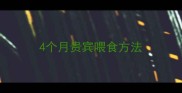 4个月贵宾喂食方法