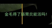 金毛得了肠胃炎能活吗