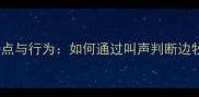 边境牧羊犬叫声特点与行为如何通过叫声判断边牧情绪并科学训练
