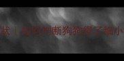 小狗细小症状如何判断狗狗得了细小新手必看
