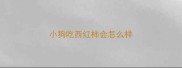小狗吃西红柿会怎么样