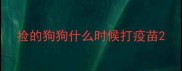 捡的狗狗什么时候打疫苗