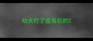 幼犬打了疫苗后的