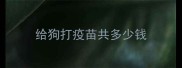 给狗打疫苗共多少钱