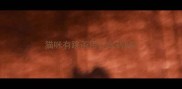猫咪有跳蚤用什么药好