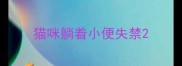 猫咪躺着小便失禁