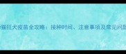 幼猫狂犬疫苗全攻略接种时间注意事项及常见问题