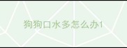 狗狗口水多怎么办