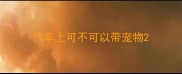 汽车上可不可以带宠物