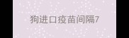狗进口疫苗间隔7