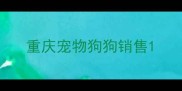 重庆宠物狗狗销售