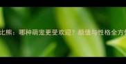 泰迪vs比熊哪种萌宠更受欢迎颜值与性格全方位对比