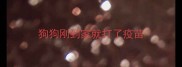 狗狗刚到家就打了疫苗