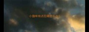 小猫咪有点拉稀怎么办