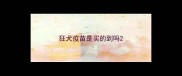 狂犬疫苗是买的到吗