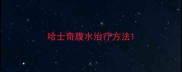 哈士奇腹水治疗方法