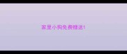家里小狗免费赠送