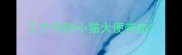 三个月的小猫大便带血