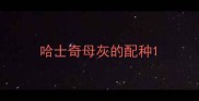 哈士奇母灰的配种