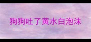 狗狗吐了黄水白泡沫