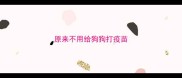 原来不用给狗狗打疫苗