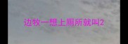 边牧一想上厕所就叫