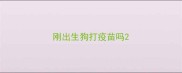 刚出生狗打疫苗吗