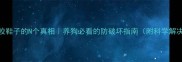 狗狗咬鞋子的N个真相养狗必看的防破坏指南附科学解决方案