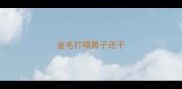 金毛打嗝鼻子还干
