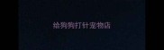 给狗狗打针宠物店
