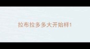 拉布拉多多大开始样