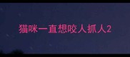 猫咪一直想咬人抓人