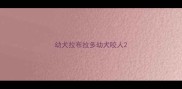 幼犬拉布拉多幼犬咬人