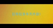 拉布拉多冬天外面
