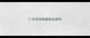 广州有宠物蛋糕定制吗