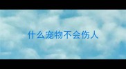 什么宠物不会伤人