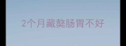 2个月藏獒肠胃不好