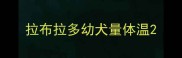 拉布拉多幼犬量体温