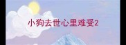 小狗去世心里难受