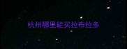 杭州哪里能买拉布拉多
